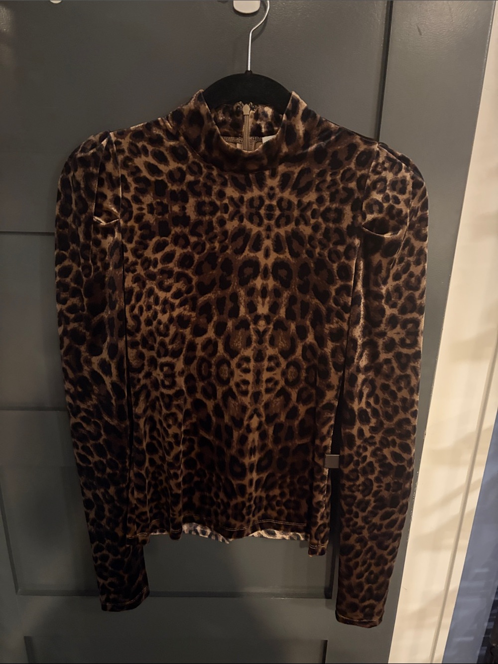 LINI Leopard Print Velvet Mock Neck Long Sleeve Top - Brown